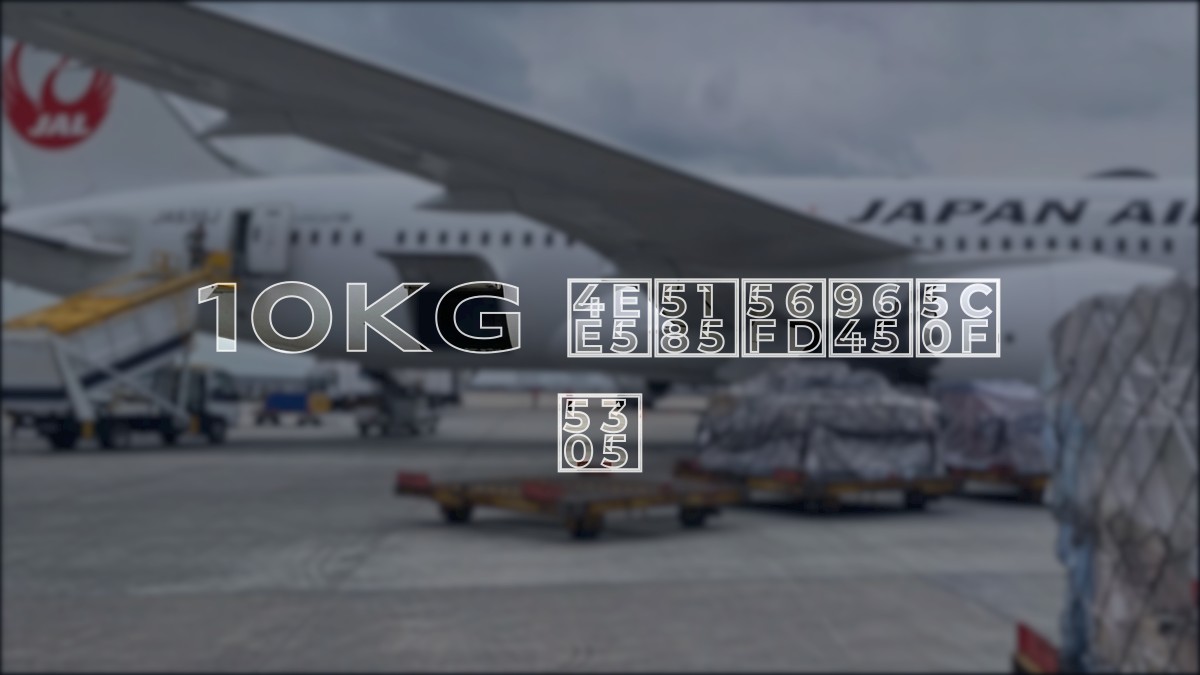 10kg 以内国际小包