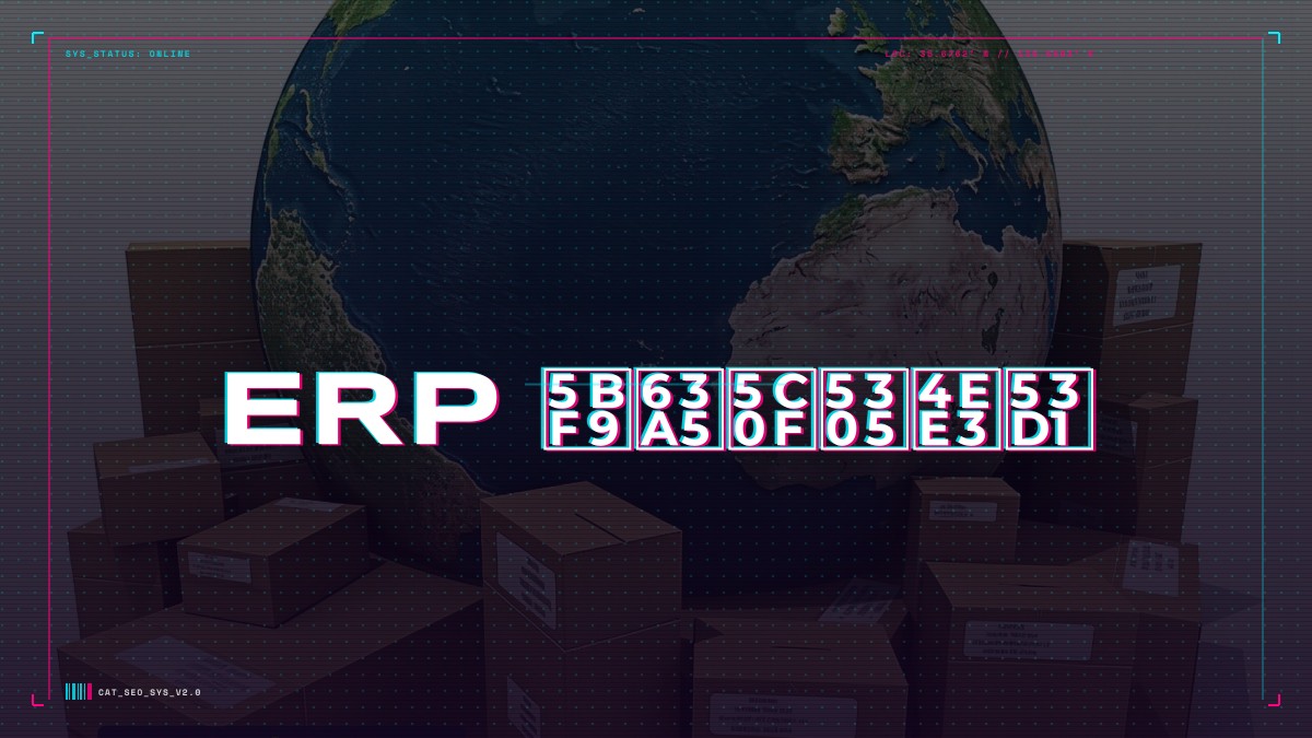 ERP 对接小包代发