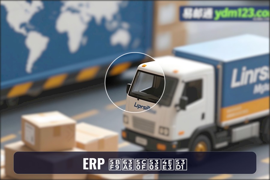 ERP 对接小包代发