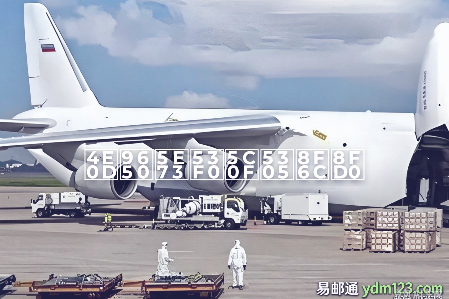 不限平台小包转运