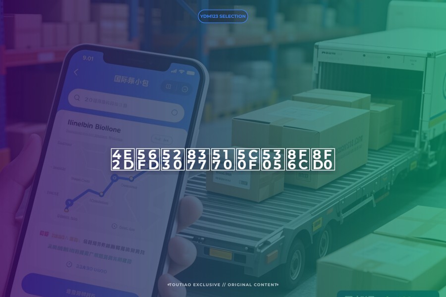 中国到荷兰小包转运