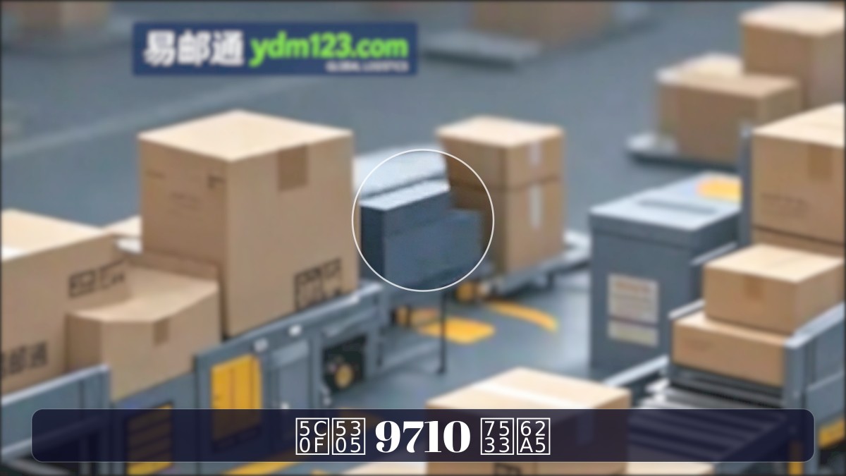 小包 9710 申报