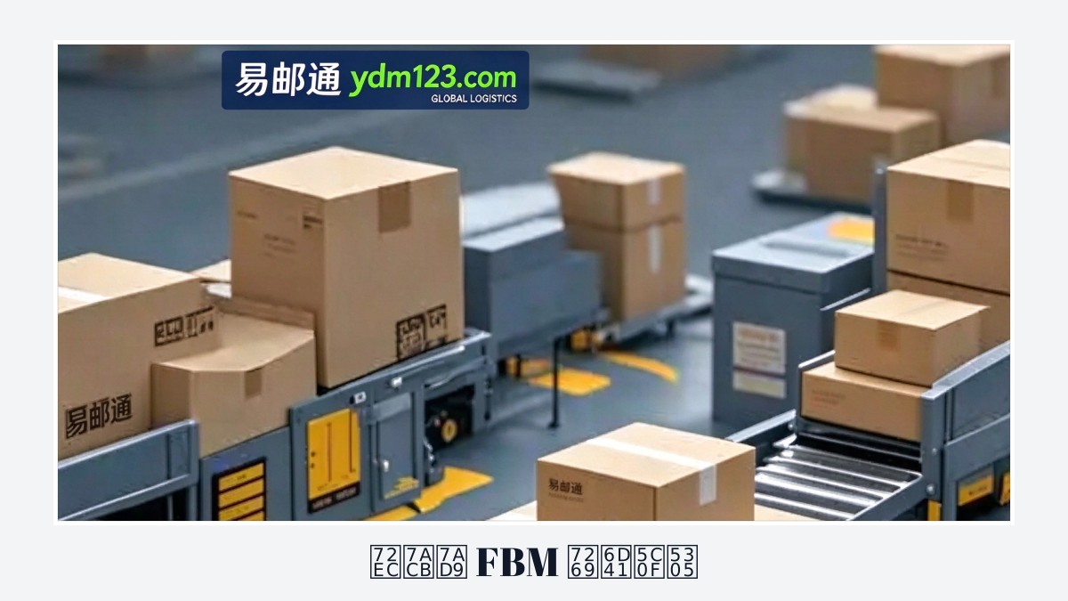 独立站 FBM 物流小包