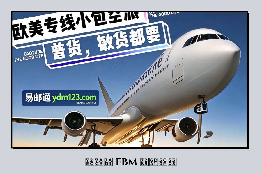 独立站 FBM 物流小包